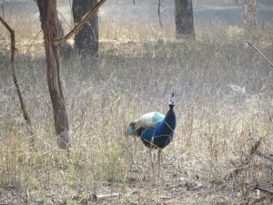 2014-01-08 15.23.28-1