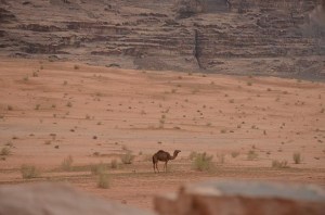 Wadi Rum-5