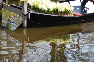 Keukenhof (6 of 11)